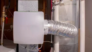 whole humidifier house