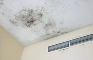 do air purifiers help with mold