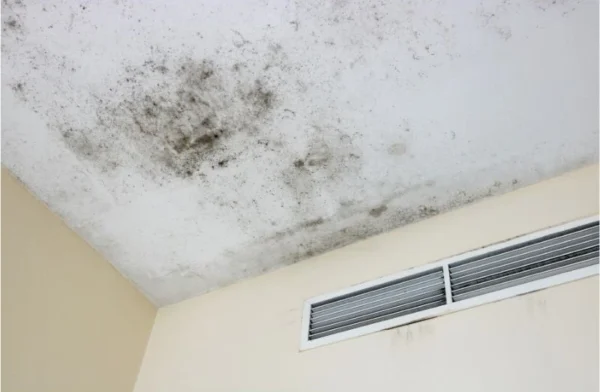do air purifiers help with mold